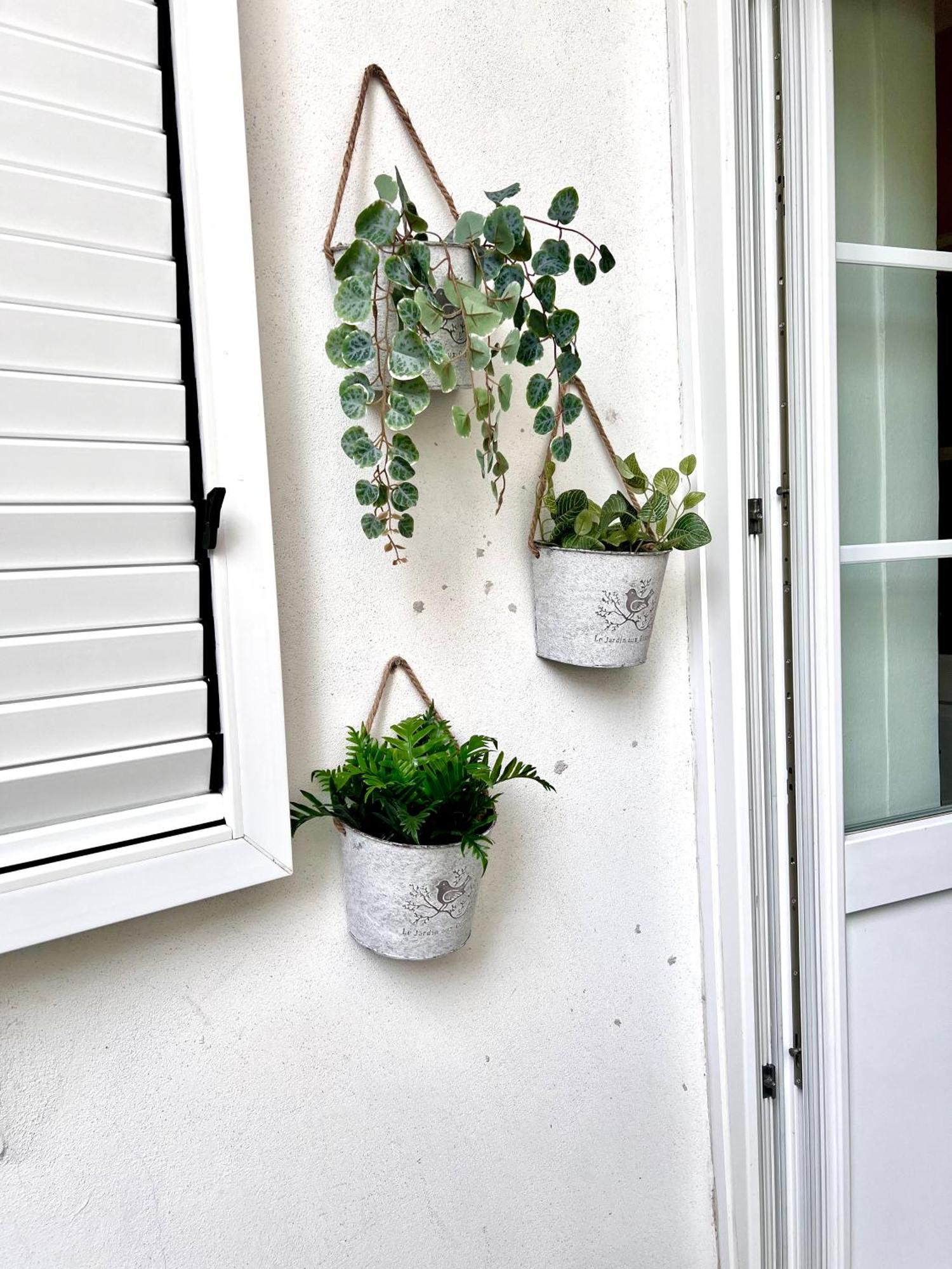 Suite Mitteleuropa Private Parking Trieste Exterior photo